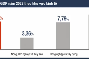 Ước tính GDP năm 2022 tăng 8,02%. 