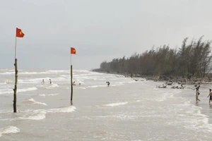 Khu vực bãi biển Cồn Vành.