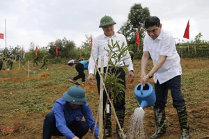 Ông Trần Quốc Cường - Bí thư Tỉnh ủy Điện Biên (ngoài cùng bên phải) tham gia trồng cây Mắc ca tại ngày hội.