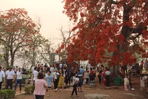 Du khách tham quan trên Đồi A1