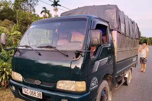 Xe tải chở gỗ lậu bị bắt giữ.