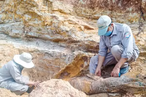 Lực lượng chức năng tiến hành di chuyển quả bom để đưa về khu vực tập kết hủy nổ