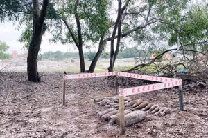 Số đạn phát hiện đã được di dời an toàn về bãi hủy nổ tập trung (ảnh: Ngô Hiền) 