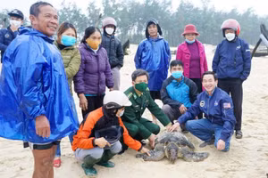 Các lực lượng chức năng cùng chính quyền địa phương và bà con ngư dân thả cá thể Vích về môi trường biển