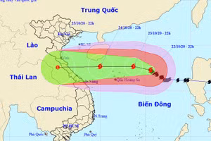Ảnh minh họa/internet