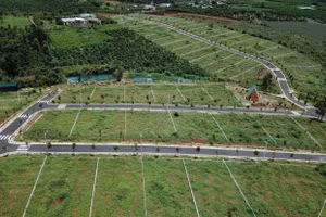 Lâm Đồng sẽ thanh tra đất đai ở những đơn vị nào?