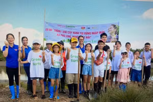Dự án trồng 1.000 cây xanh tại rừng ngập mặn xã Phù Long, huyện Cát Hải của nhóm học sinh Trường Tiểu học Đinh Tiên Hoàng nhận được sự đồng tình ủng hộ của phụ huynh, thầy cô, nhà trường và các đoàn thể.