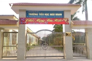 Trường Tiểu học Ngũ Đoan.