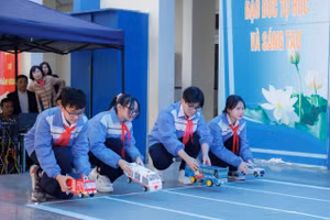 Các nhóm trình diễn mô hình xe ô tô.