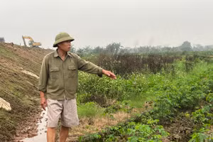 Phấn đấu đến năm 2025, trên thành phố Hải Phòng không còn hộ nghèo theo chuẩn quốc gia (ảnh minh hoạ).