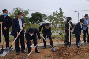 Các đại biểu trồng tre, trúc tại khu vực bảo tồn loài cây này của Học viện Nông nghiệp Việt Nam