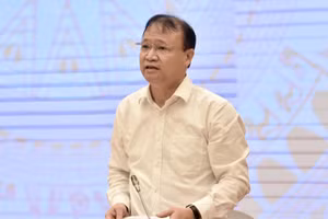 Thứ trưởng Bộ Công Thương Đỗ Thắng Hải.