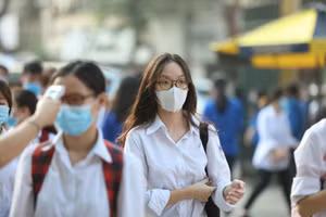 Ảnh minh hoạ/intternet