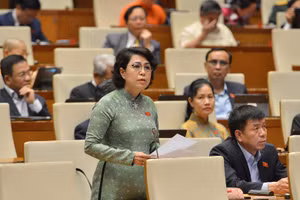 Đại biểu Quốc hội Tô Thị Bích Châu.