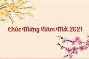 Bộ trưởng Phùng Xuân Nhạ gửi Thư chúc mừng năm mới đến cán bộ, giáo viên, HSSV