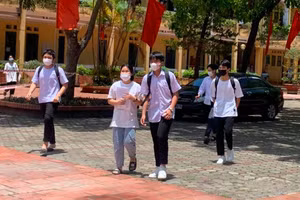 Ảnh minh hoạ/internet