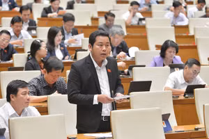 Đại biểu Dương Tấn Quân - Đoàn đại biểu Quốc hội tỉnh Bà Rịa - Vũng Tàu.