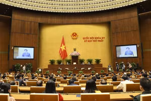 Ảnh minh hoạ/internet