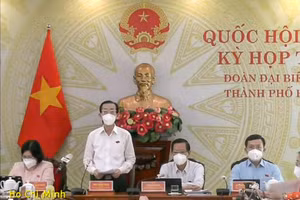 Đại biểu Trần Hoàng Ngân (đoàn TP Hồ Chí Minh) 