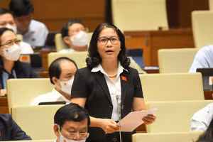 Đại biểu Nguyễn Thị Lan - đoàn Hà Nội