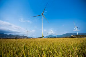 Ảnh minh hoạ/internet