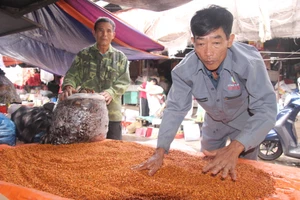 Bà con tiểu thương chợ Vinh đem phơi hàng nông sản bị ngâm nước