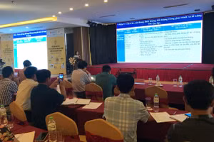 Tập huấn giáo viên về “Tài liệu điện tử an toàn giao thông dành cho học sinh tiểu học”