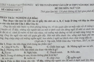 Gợi ý giải đề Ngữ văn vào lớp 10 Vĩnh Phúc 2023