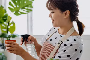 Một số loại cây có thể thanh lọc không khí trong nhà bạn. (Ảnh: ITN).