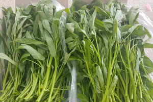 3 đại kỵ khi ăn rau muống mùa hè kẻo mang bệnh vào người