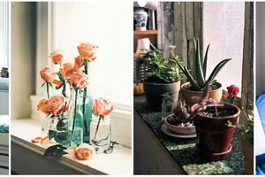 Cách trang trí cửa sổ thành góc thư giãn đẹp như thơ 