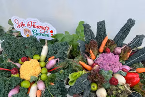 Mẹ đảm chỉ cách làm bó hoa ngày 8/3 bằng rau củ độc lạ