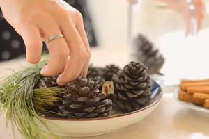 Hũ thơm từ trái thông, lá thông và quế.