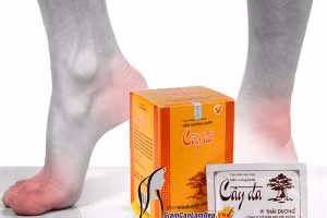 Viên uống Cây Đa hỗ trợ xương khớp khỏe mạnh 