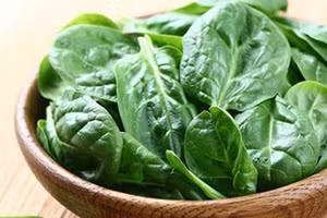 Rau mồng tơi là loại rau chứa nhiều dinh dưỡng, rất tốt cho hệ tiêu hóa.