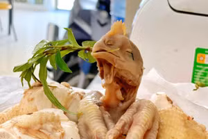 Những siêu phẩm gà luộc 'phiên bản lỗi' ngày Tết