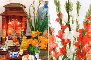5 loại hoa nên chưng bàn thờ ngày vía Thần Tài 