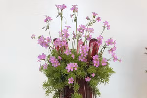 Cắm hoa dại kiểu này, ai nhìn cũng thích mê 