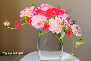 Bí quyết cắm hoa thược dược tuyệt đẹp, ai cũng phải tấm tắc khen