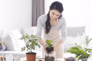 4 mẹo nhỏ giúp ngôi nhà tràn đầy sinh khí