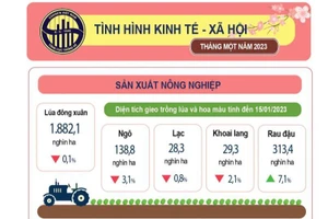 Tình hình kinh tế – xã hội tháng 1 năm 2023