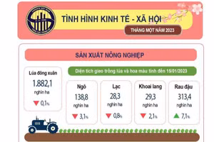 Tình hình kinh tế – xã hội tháng 1 năm 2023