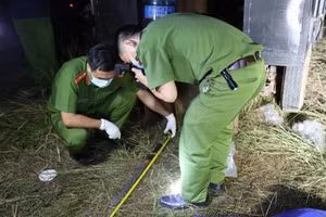 Mẹ đẻ sát hại con 4 tháng tuổi ở Bắc Kạn