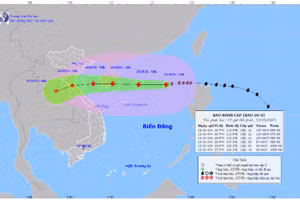 Hình ảnh vệ tinh cơn bão số 8.