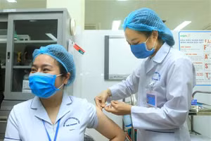 Ảnh minh hoạ. Ảnh: TTXVN.