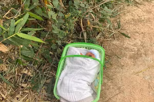 Tìm người thân cho bé trai kháu khỉnh bị bỏ rơi trước cổng chùa