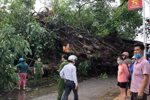 Hiện trường vụ việc. Ảnh: H.H.
