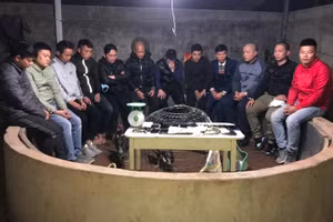 Mật phục, bắt quả tang 13 đối tượng đang sát phạt nhau trên sới gà