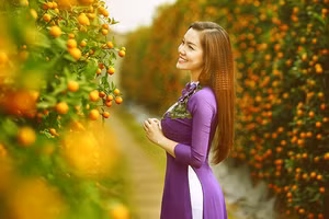 Dự báo thời tiết ngày 25/1: miền Bắc trời ấm, trong ngày xuất hiện mưa nhỏ