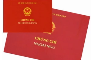 Tất cả các ngạch công chức chuyên ngành hành chính và văn thư không còn yêu cầu chứng chỉ về trình độ ngoại ngữ và tin học. Ảnh minh họa